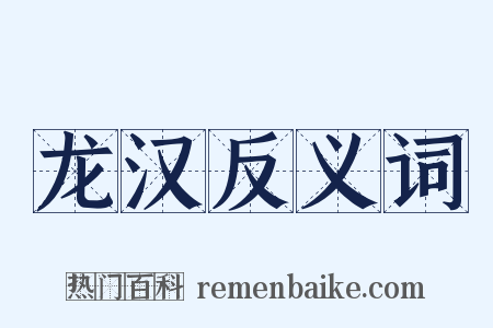 龙汉反义词是什么意思的图片